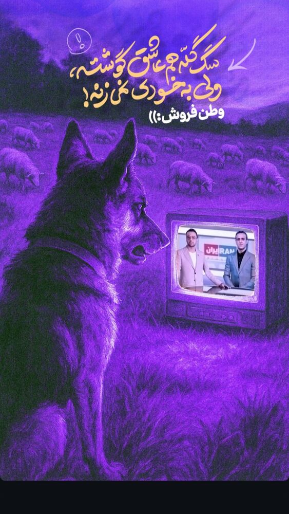  جدید ترین استوری اینستاگرام الهه صاحبقران
