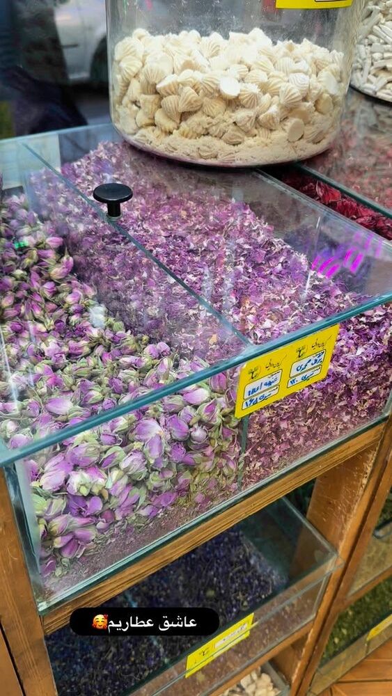  جدید ترین استوری اینستاگرام الهه صاحبقران