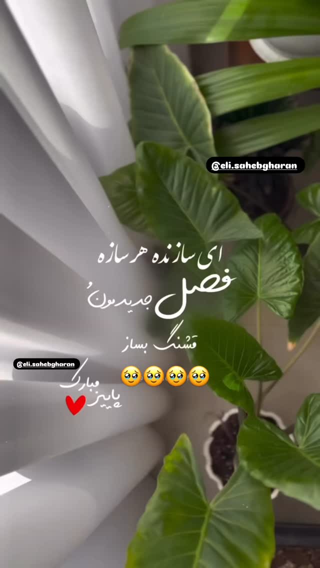  جدید ترین استوری اینستاگرام الهه صاحبقران
