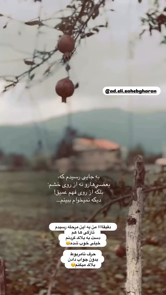 جدید ترین استوری اینستاگرام الهه صاحبقران
