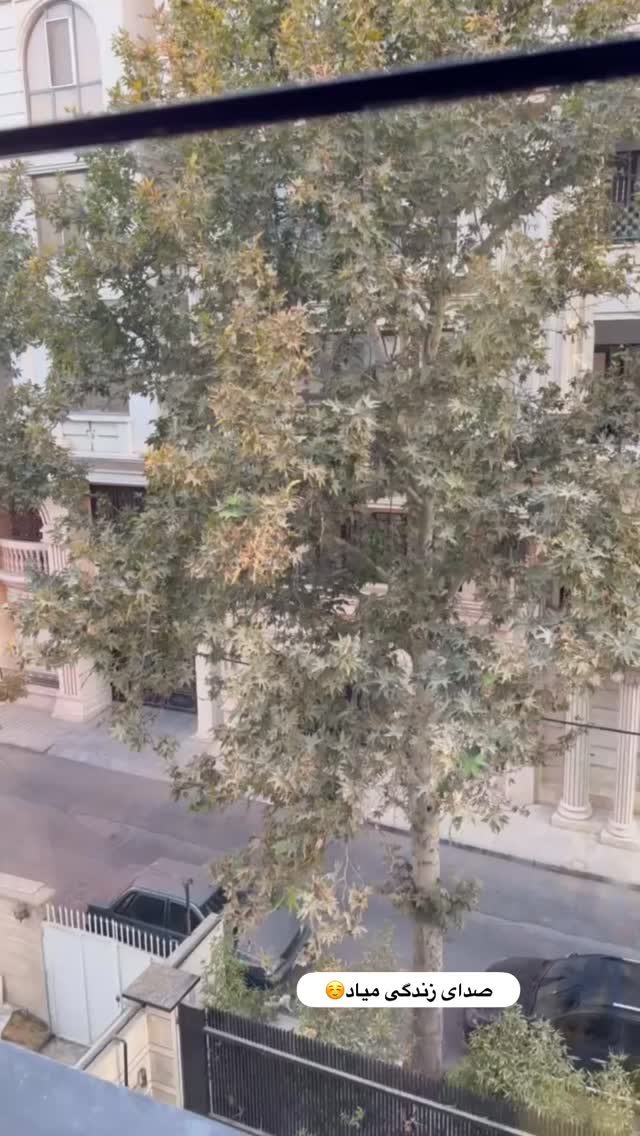  جدید ترین استوری اینستاگرام الهه صاحبقران