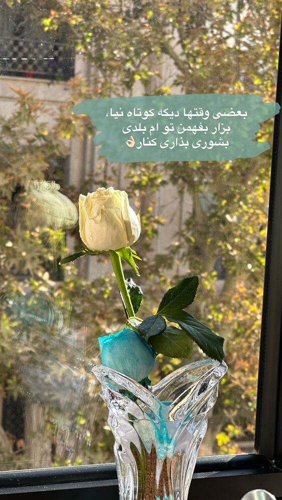  جدید ترین استوری اینستاگرام الهه صاحبقران