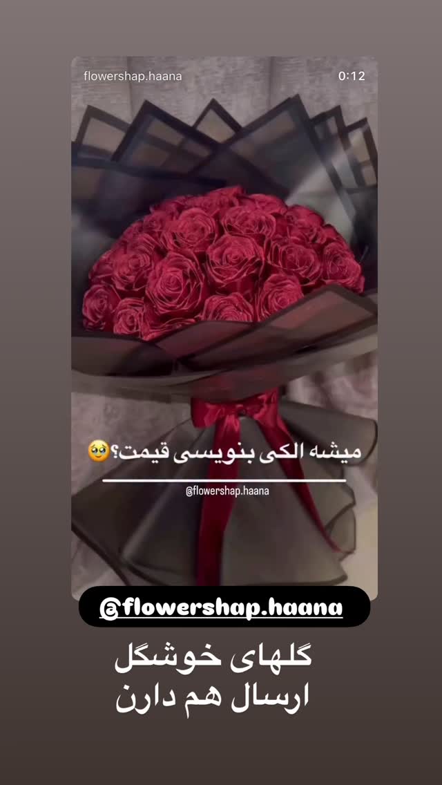  جدید ترین استوری اینستاگرام الهه صاحبقران