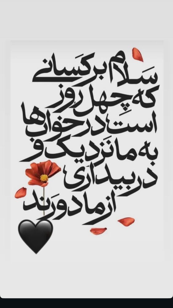  جدید ترین استوری اینستاگرام الهه صاحبقران