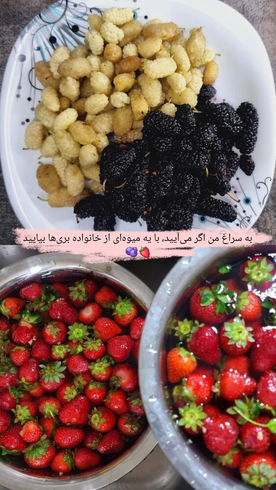  جدید ترین استوری اینستاگرام الهام احمدی