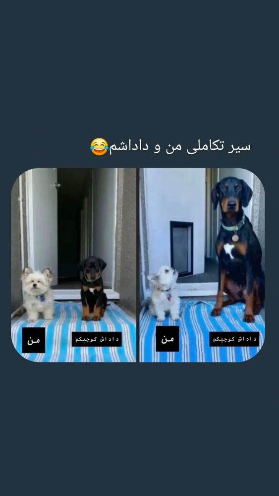  جدید ترین استوری اینستاگرام آلمیرا