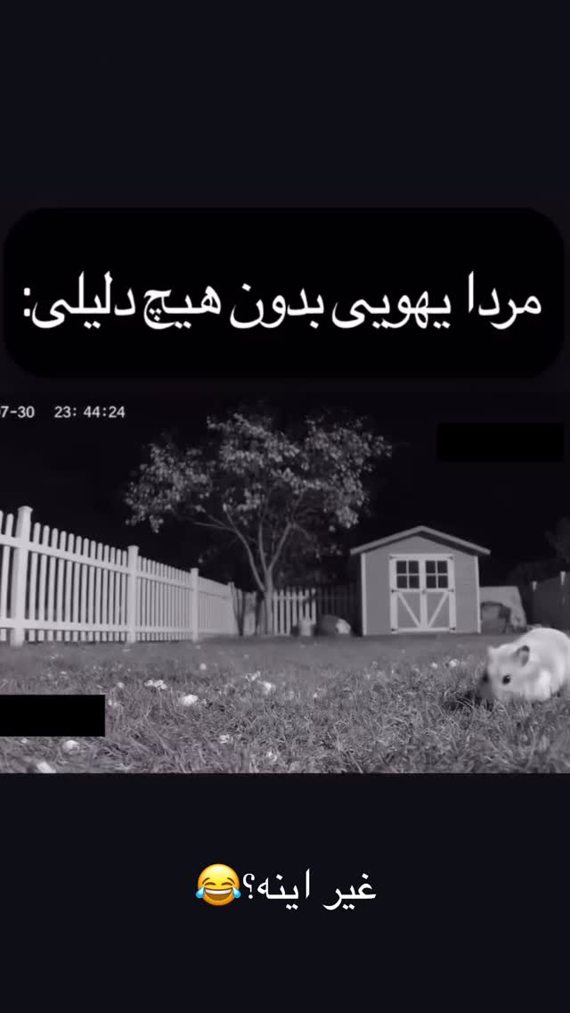  جدید ترین استوری اینستاگرام آلمیرا