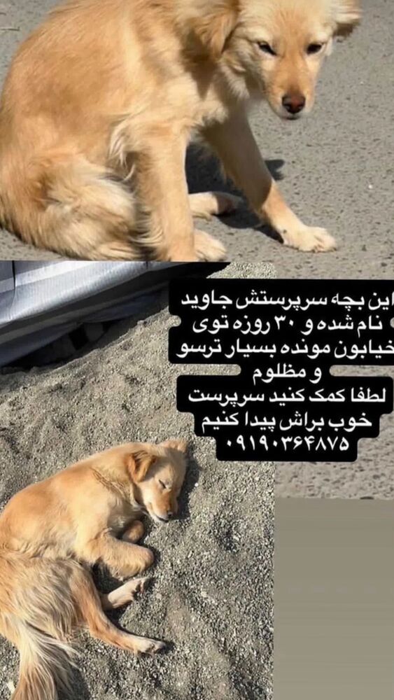  جدید ترین استوری اینستاگرام الناز کمپانی