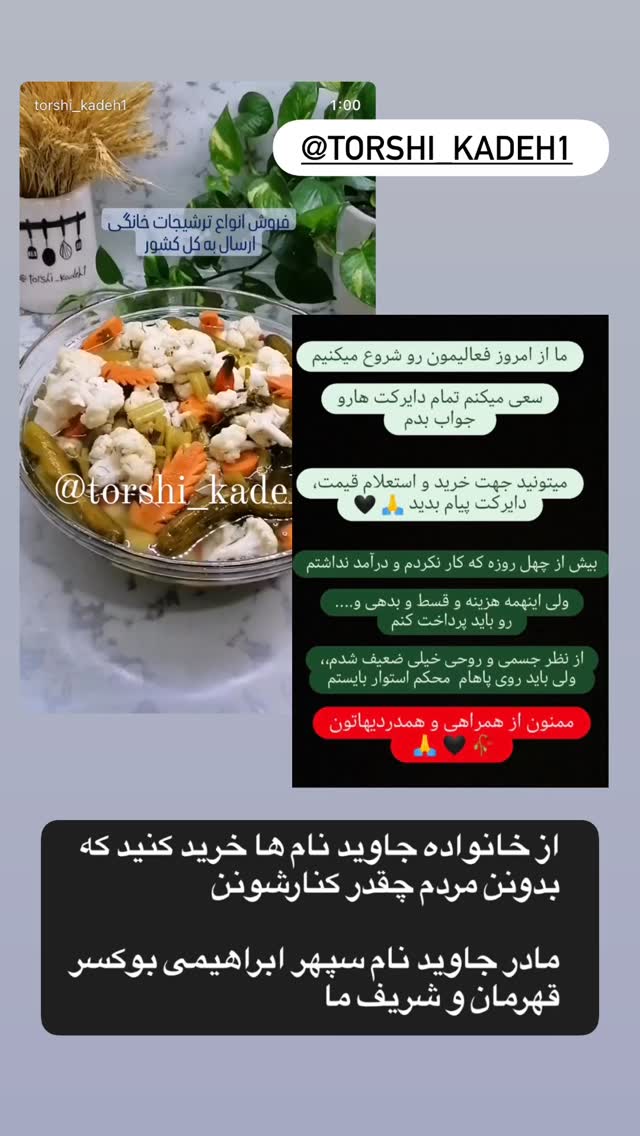  جدید ترین استوری اینستاگرام الناز کمپانی