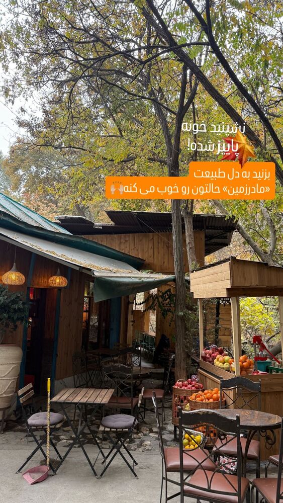  جدید ترین استوری اینستاگرام الناز شاکردوست