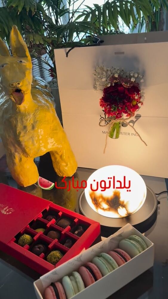  جدید ترین استوری اینستاگرام الناز شاکردوست