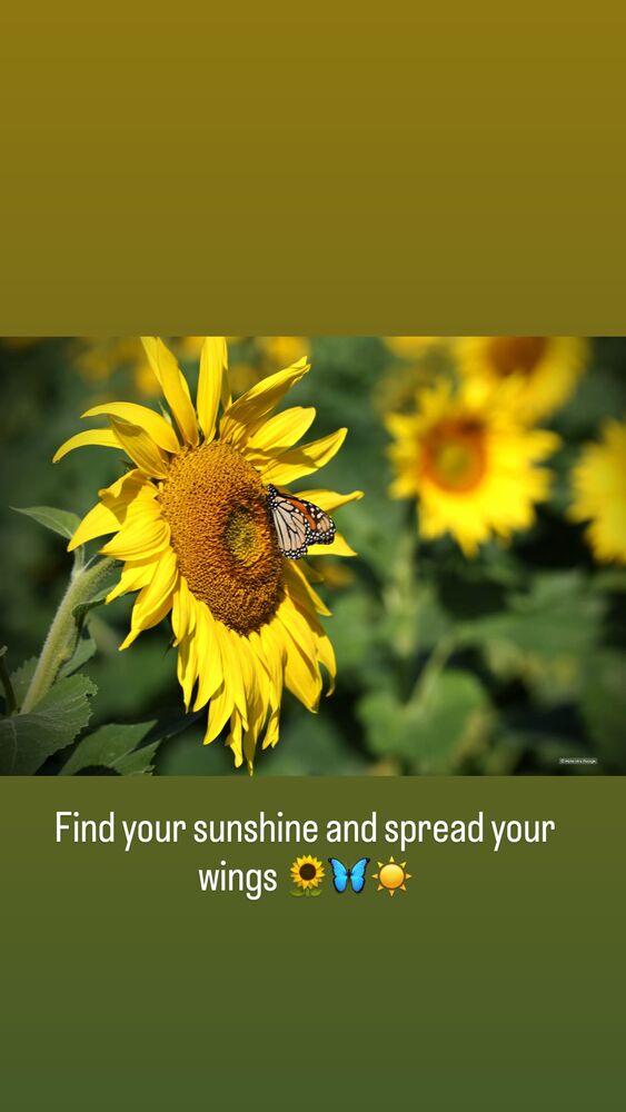  جدید ترین استوری اینستاگرام السا فیروز آذر