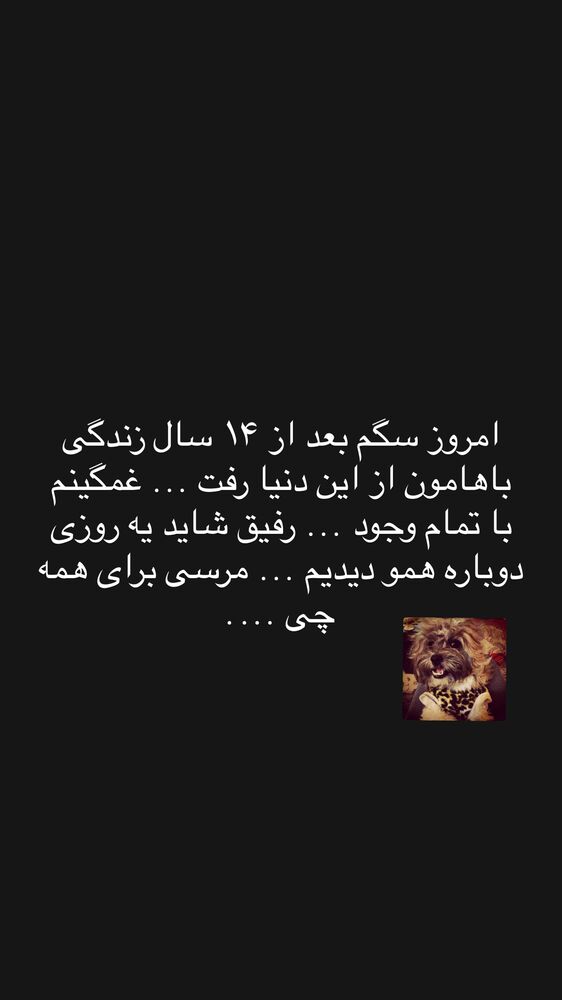  جدید ترین استوری اینستاگرام عماد طالب زاده