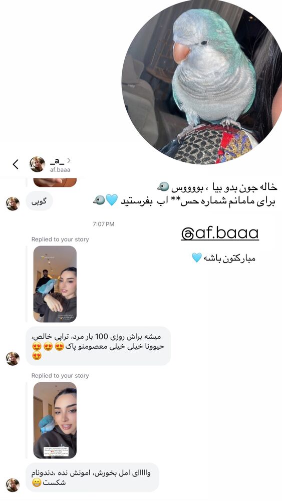  جدید ترین استوری اینستاگرام امل جادرانی پور