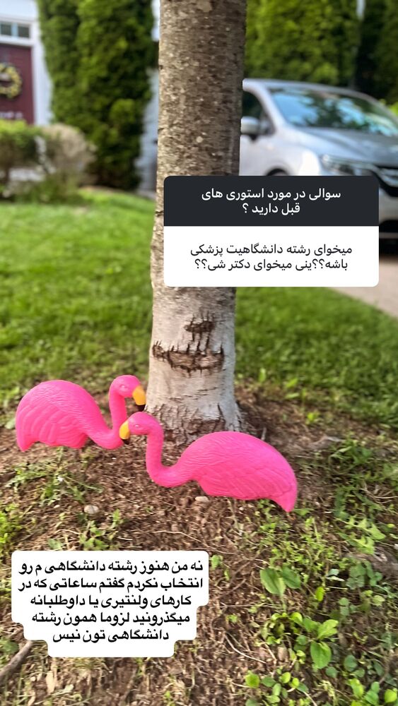  جدید ترین استوری اینستاگرام بردیا زارعی