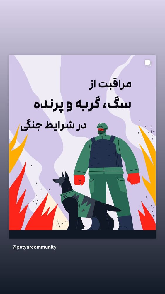  جدید ترین استوری اینستاگرام بردیا زارعی