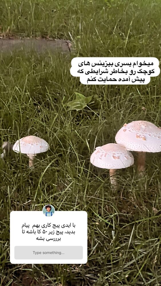  جدید ترین استوری اینستاگرام بردیا زارعی