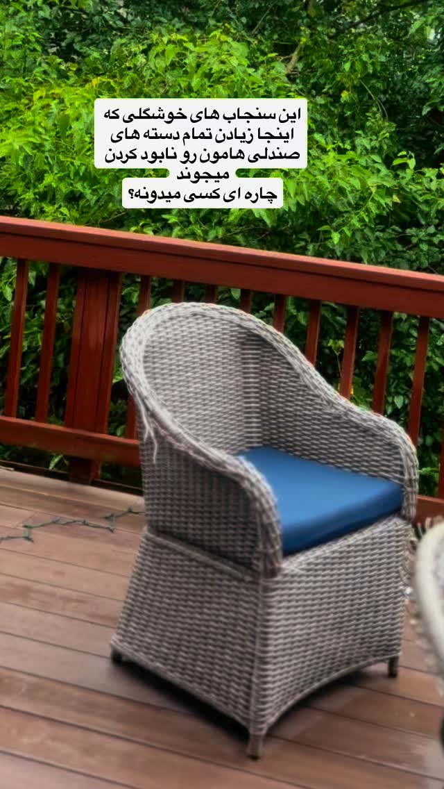  جدید ترین استوری اینستاگرام بردیا زارعی