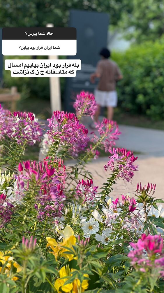  جدید ترین استوری اینستاگرام بردیا زارعی