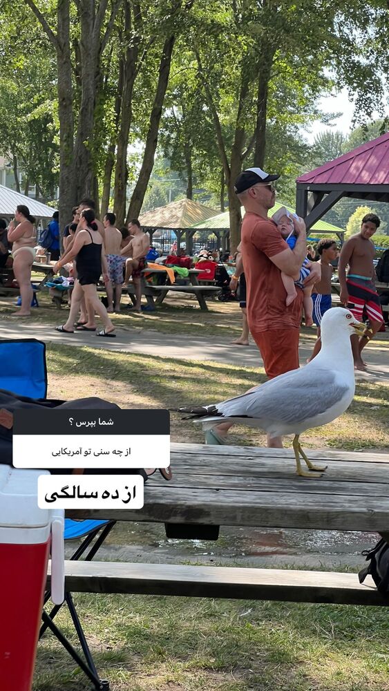  جدید ترین استوری اینستاگرام بردیا زارعی