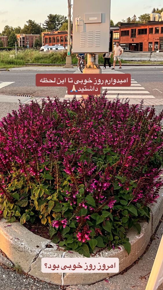  جدید ترین استوری اینستاگرام بردیا زارعی