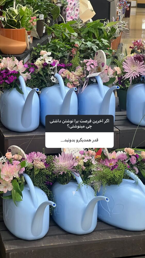  جدید ترین استوری اینستاگرام بردیا زارعی