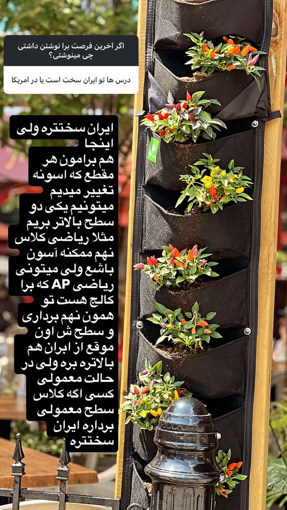  جدید ترین استوری اینستاگرام بردیا زارعی