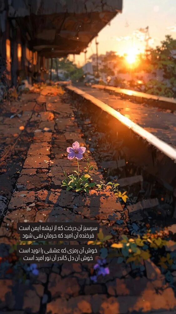  جدید ترین استوری اینستاگرام عرفان هنربخش
