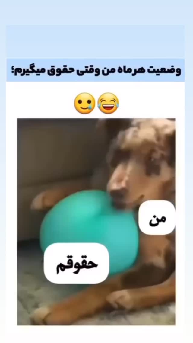  جدید ترین استوری اینستاگرام عرفان علی رضایی