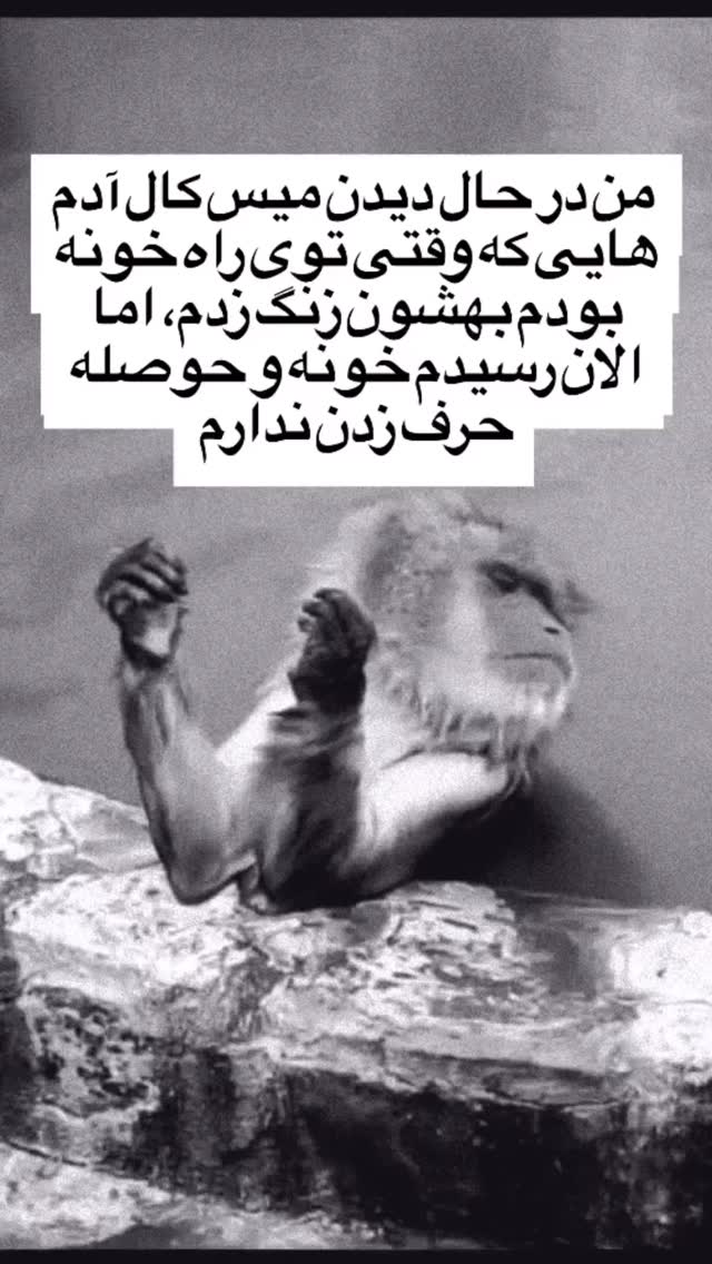  جدید ترین استوری اینستاگرام عرفان علی رضایی
