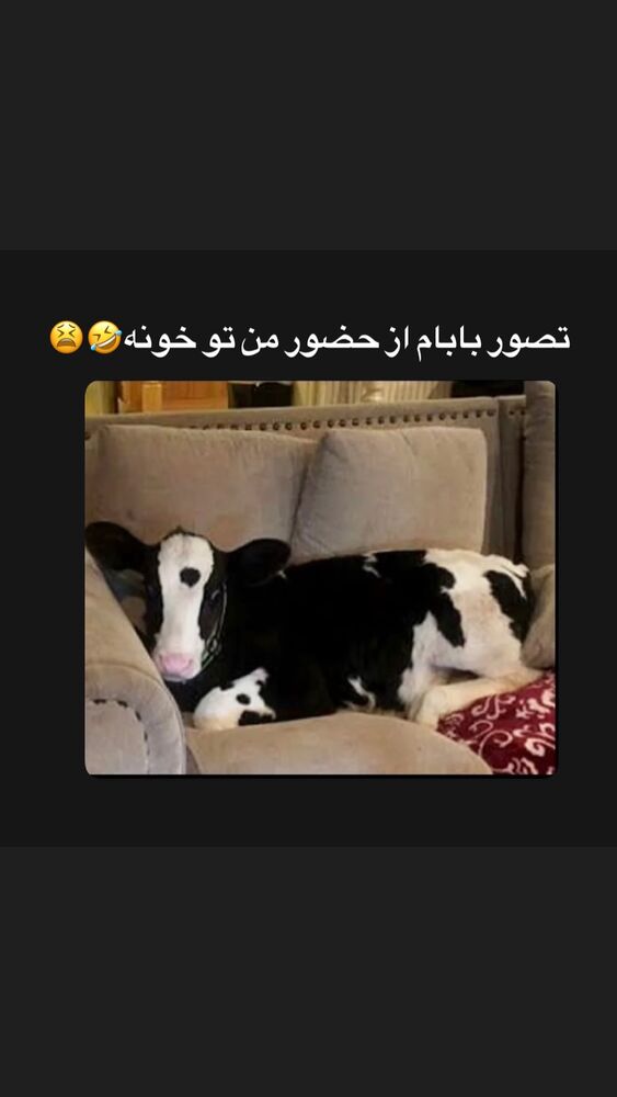  جدید ترین استوری اینستاگرام عرفان علی رضایی