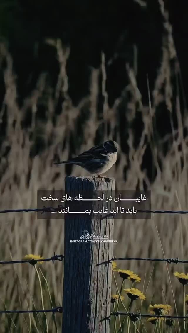  جدید ترین استوری اینستاگرام عرفان جهانگیر