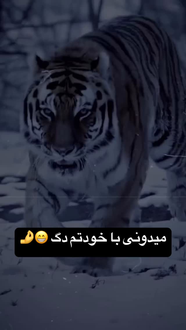  جدید ترین استوری اینستاگرام عرفان خزایی