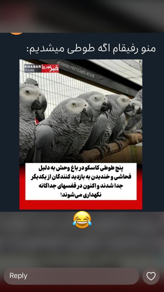  جدید ترین استوری اینستاگرام عرفان خزایی