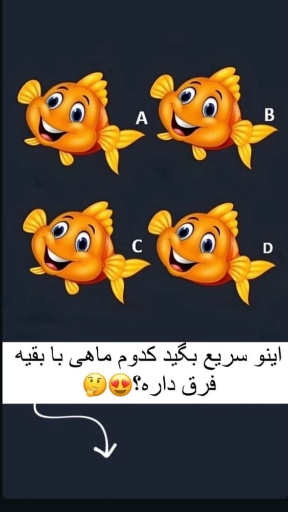  جدید ترین استوری اینستاگرام عرفان خزایی