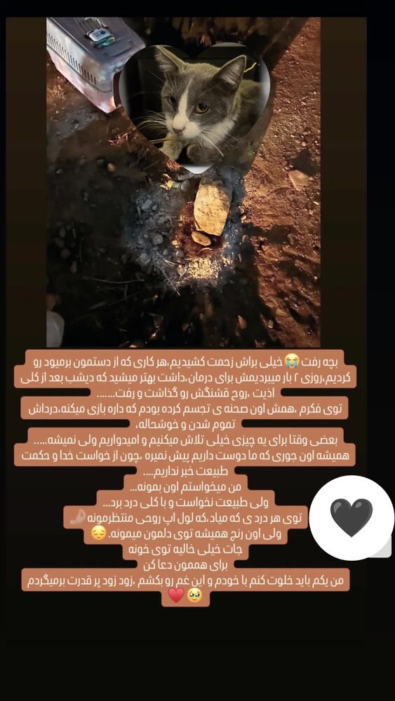 جدید ترین استوری اینستاگرام عرفان یوسفی