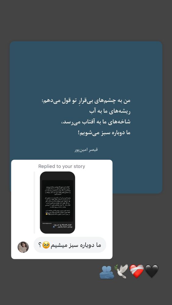  جدید ترین استوری اینستاگرام سپیده بزمی پور