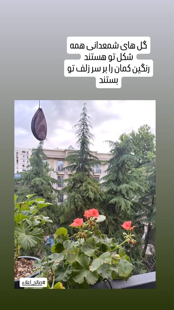  جدید ترین استوری اینستاگرام عطرت اسماعیلی