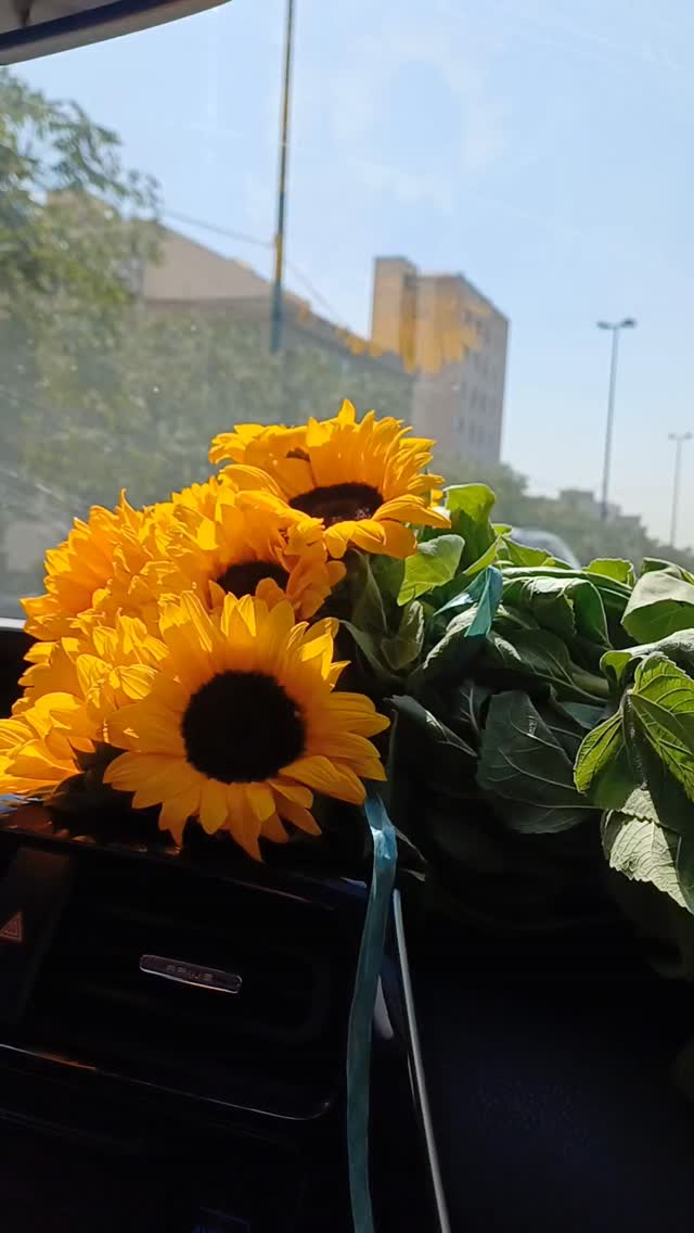  جدید ترین استوری اینستاگرام عطرت اسماعیلی