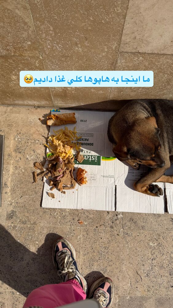  جدید ترین استوری اینستاگرام سیسی