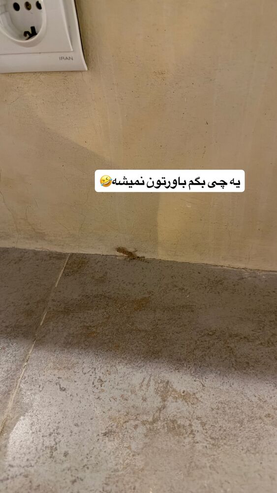  جدید ترین استوری اینستاگرام سیسی