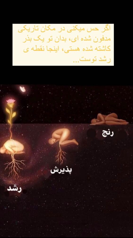  جدید ترین استوری اینستاگرام فائزه شهریاری