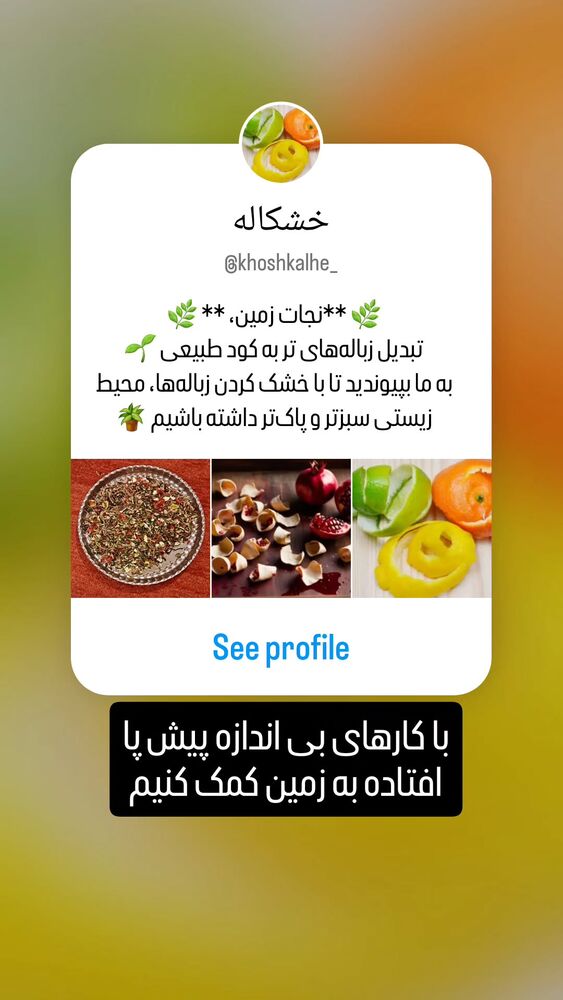 جدید ترین استوری اینستاگرام فلامک جنیدی
