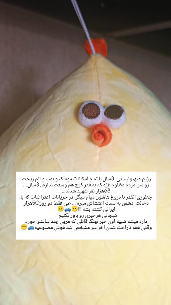  جدید ترین استوری اینستاگرام راضیه فلاحیان
