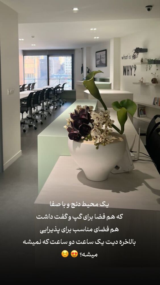  جدید ترین استوری اینستاگرام فرحناز امامیان