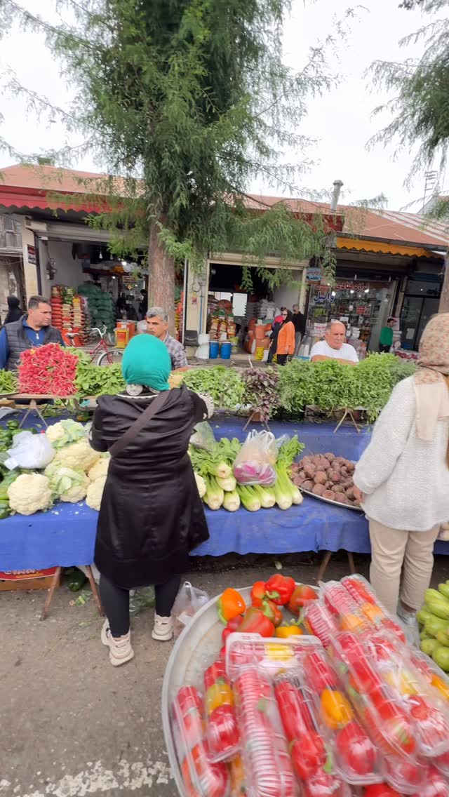  جدید ترین استوری اینستاگرام فرامز رمضان پور
