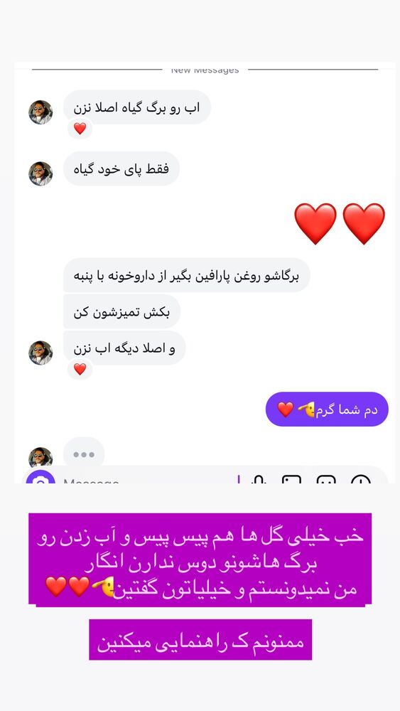  جدید ترین استوری اینستاگرام فرامز رمضان پور