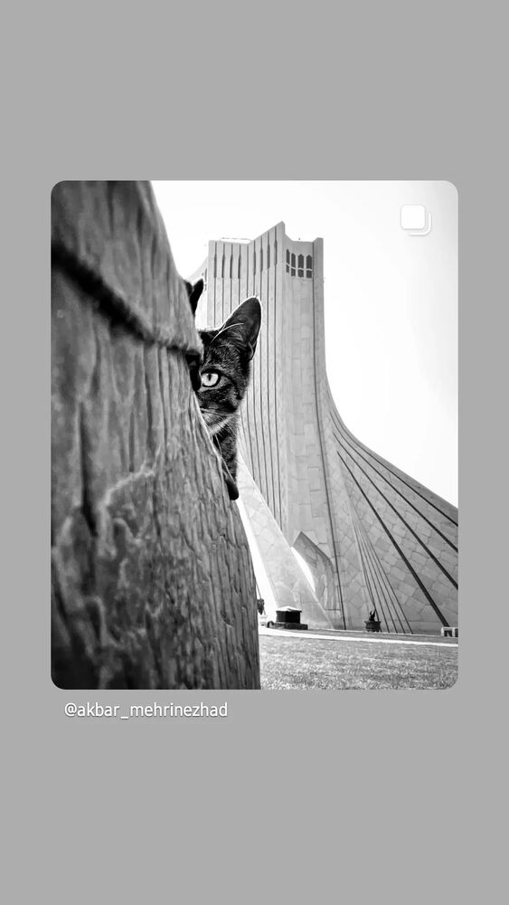  جدید ترین استوری اینستاگرام فرهاد حسن زاده