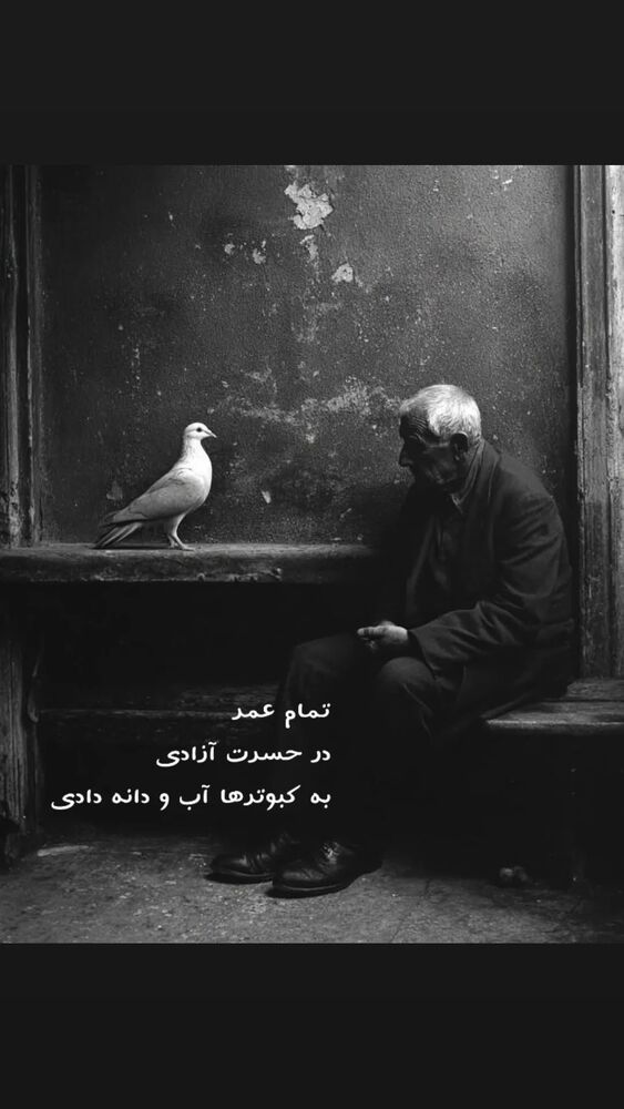  جدید ترین استوری اینستاگرام فرهاد حسن زاده