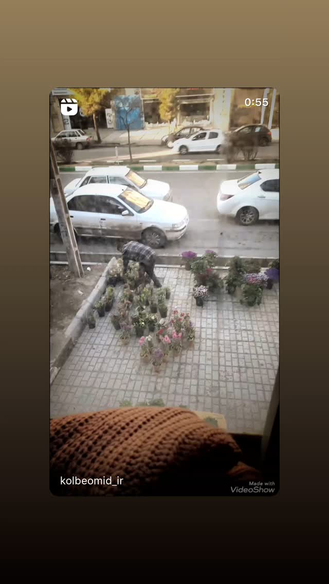  جدید ترین استوری اینستاگرام فریبا رمضانپور